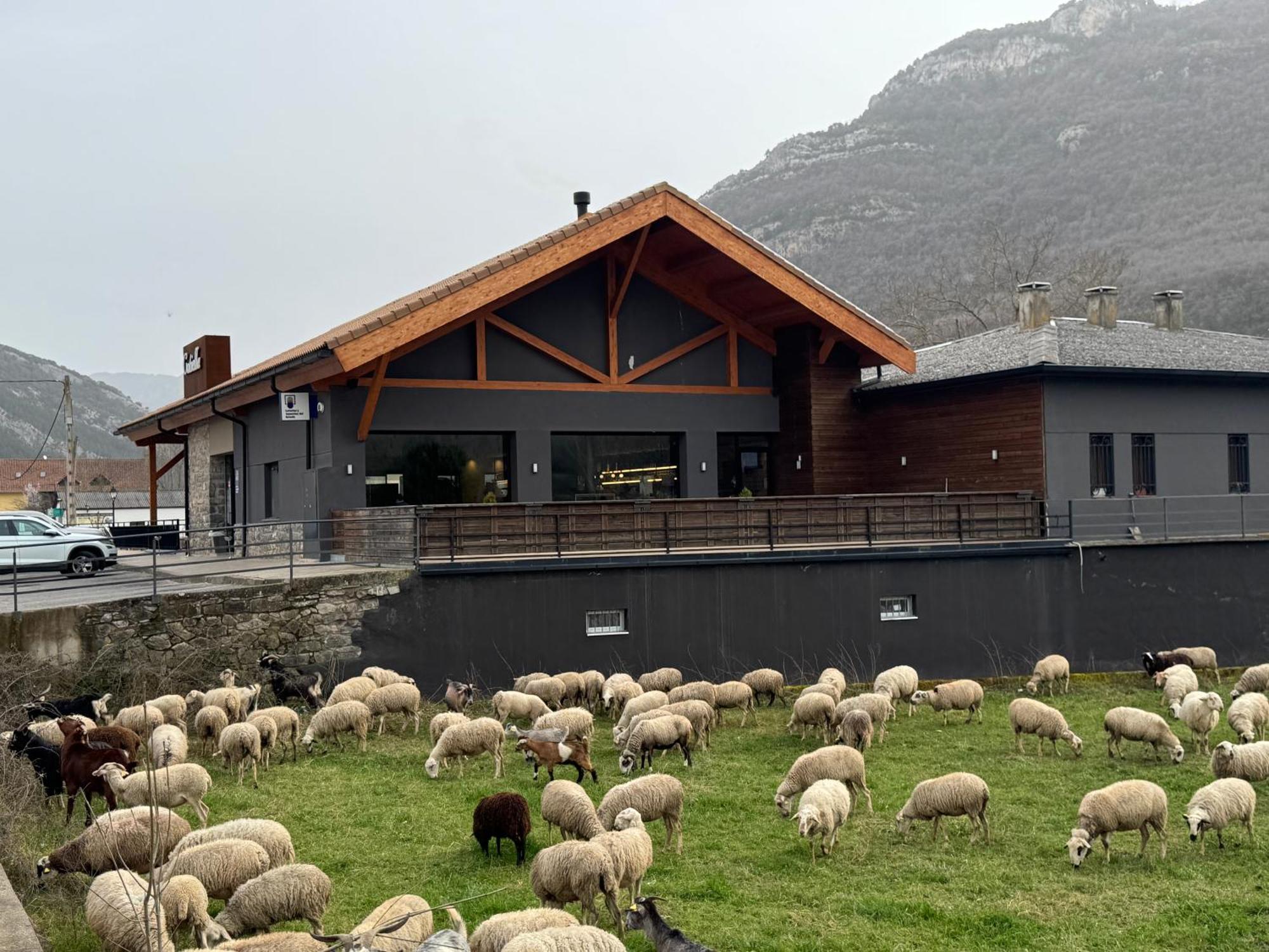 Hotel Cotiella Кампо Экстерьер фото
